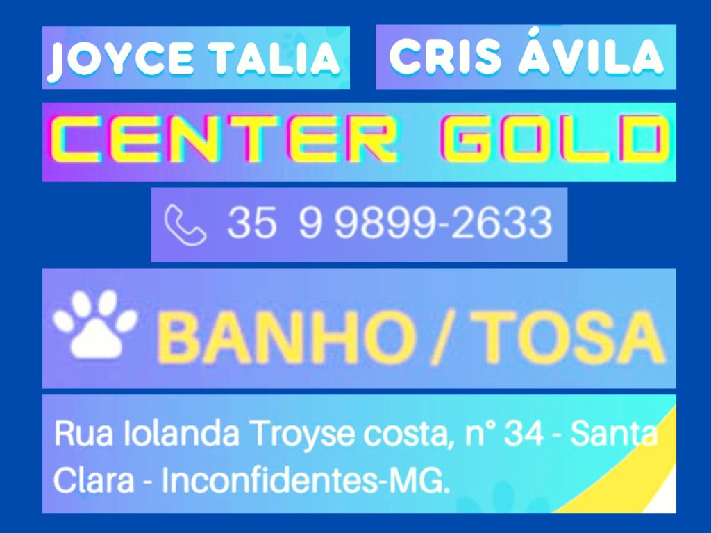 PET SHOP CENTER GOLD EM INCONFIDENTES